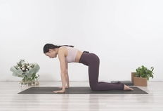 瑜伽入门视频,入门视频精华解析